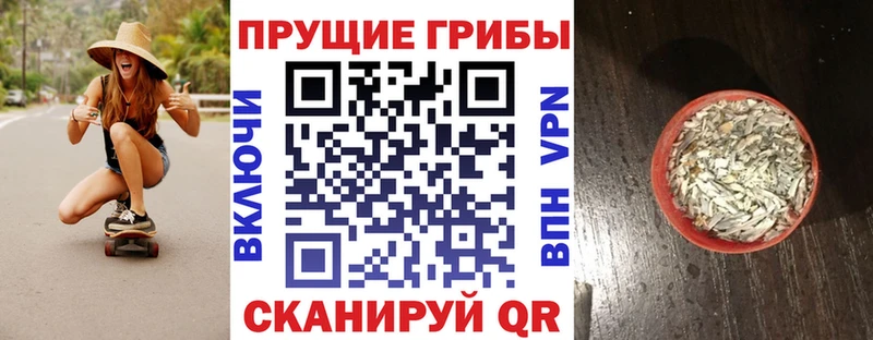 Галлюциногенные грибы GOLDEN TEACHER наркотики блэк спрут ссылка Амурск
