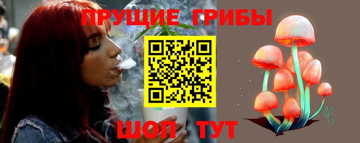 Псилоцибиновые грибы Cubensis  Псилоцибиновые грибы ЛСД  Амурск  закладка  Вход с VPN 